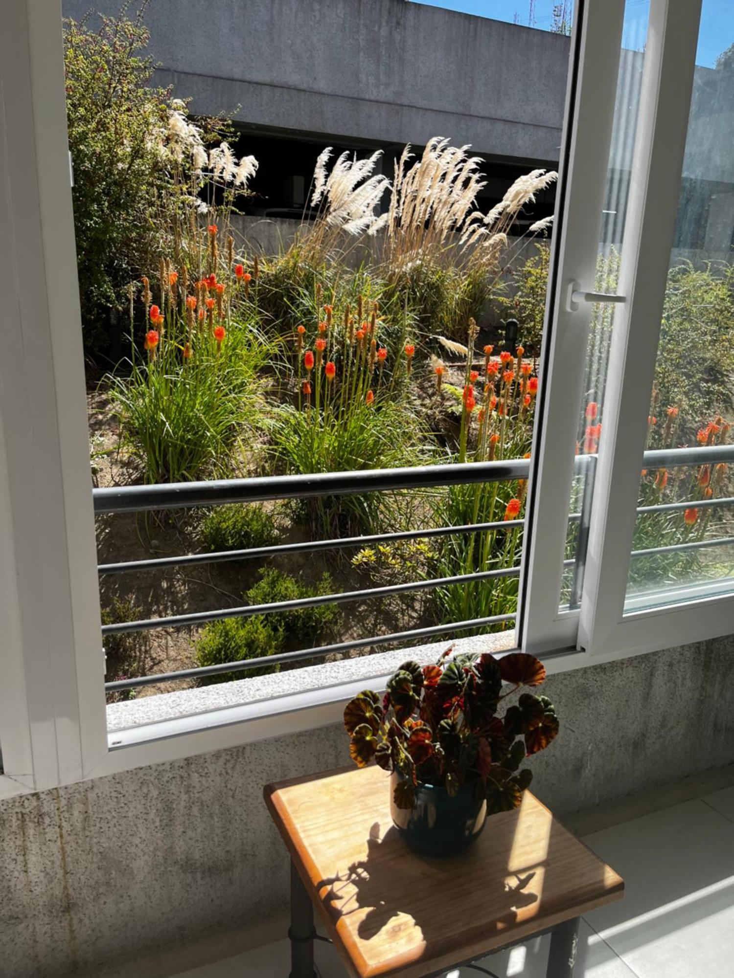 푸에르토바라스 Departamento El Chiriwe 아파트 외부 사진